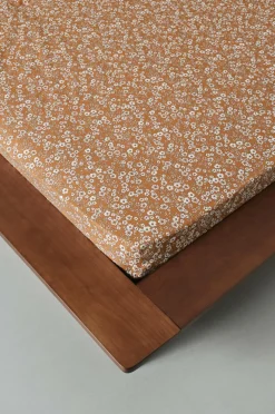 ANEMONE Dra-på-lakan