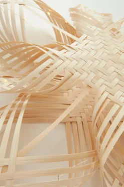 BIRK Julstjärna ø 45 Cm