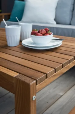 GOTLAND Bord 60x120 Cm