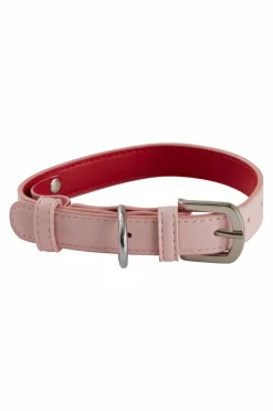 INU Hundhalsband/katthalsband