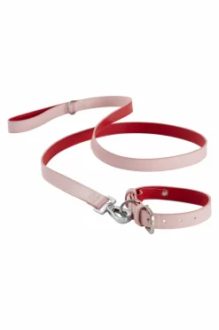 INU Hundhalsband/katthalsband