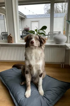 LOKI OUTDOOR Hundbädd/kattbädd 100x70 Cm