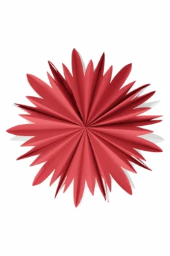 MIMOSA Julstjärna ø 44 Cm