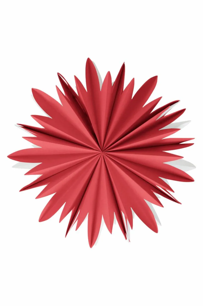 MIMOSA Julstjärna ø 44 Cm