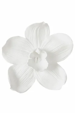 ORCHID Väggdekoration - Stor