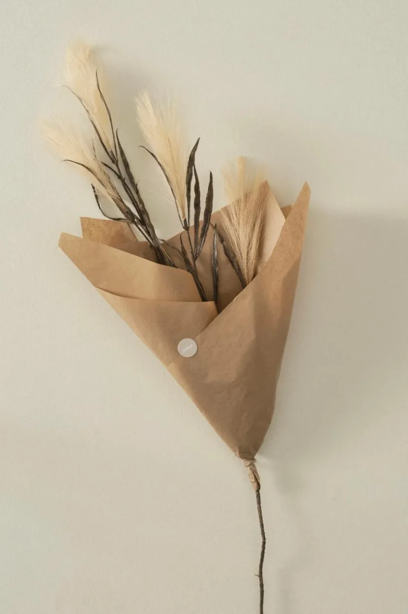 PAMPAS WIND 1 Stjälk