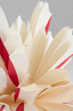 THEBE Julstjärna ø 50 Cm