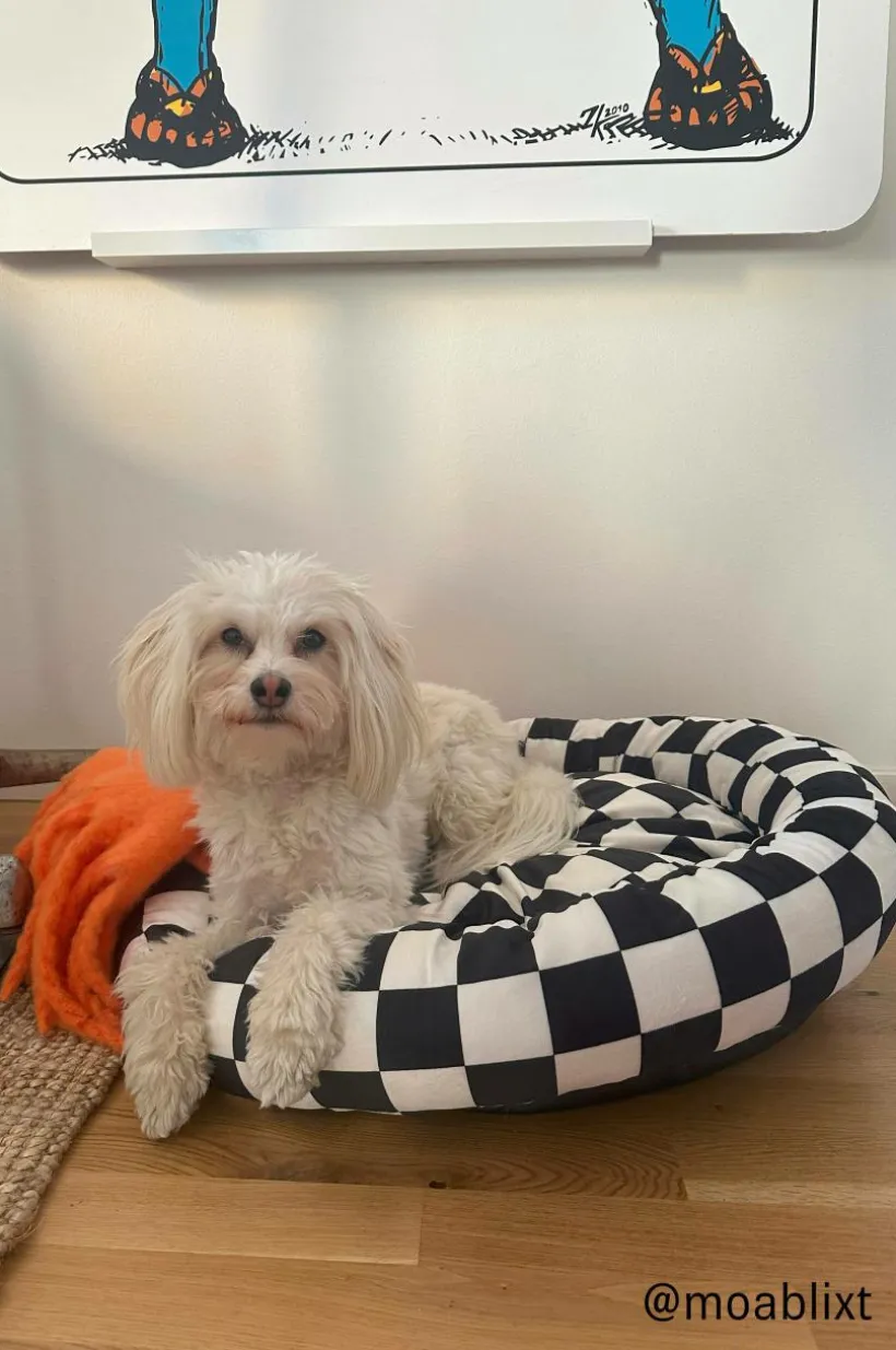 YOSHINI Hundbädd/kattbädd